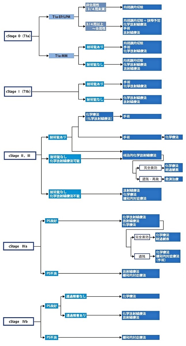 症例｜食道がんについて（症状・病期分類・治療）｜医療法人社団公仁会