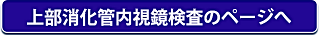 上部消化管内視鏡検査のページへ