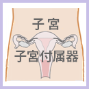 �q�{�E�q�{�t����