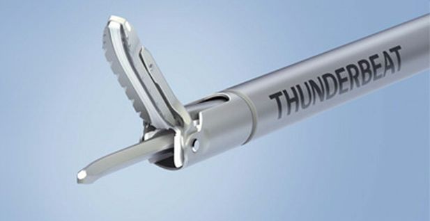 �T���_�[�r�[�g